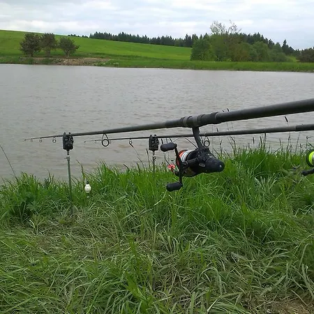 招待所 普里瓦朱莉娅旅馆 3*